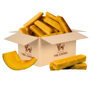 Wholesale Himalayan Yak Milk Dog Chews - Pumpkin Flavor, Natural